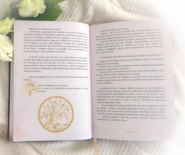 Jurnal de calatorie catre Mine
